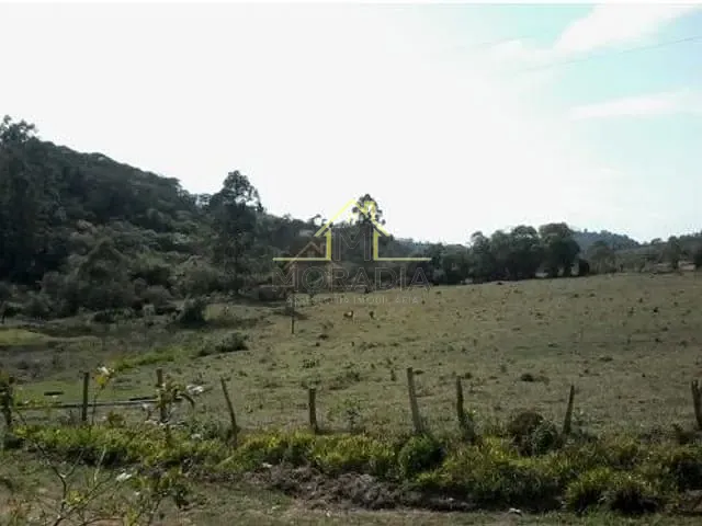 Sítio com 450m² 5 quartos e 1 banheiro, à venda, no bairro Zona Rural em Juruaia