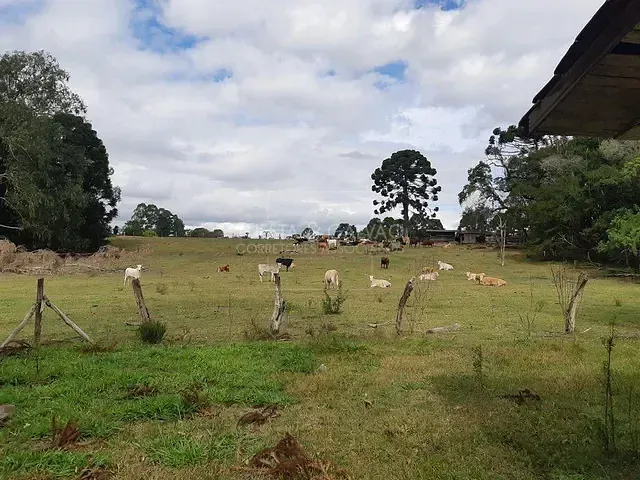 Sítio à venda, no bairro Centro em Araucária