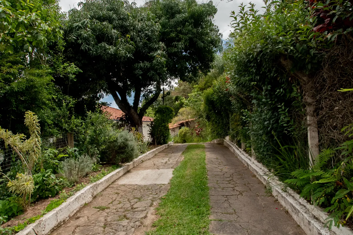 Casa rural para venda em Vila Rica, 500m²