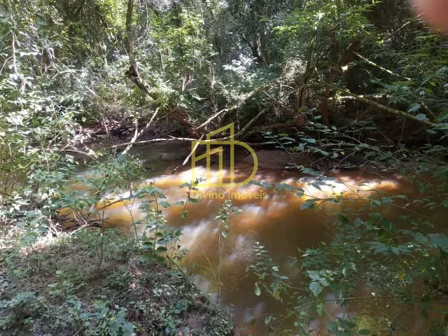 Sítio com 89000m², à venda, no bairro Centro em Barra do Chapéu