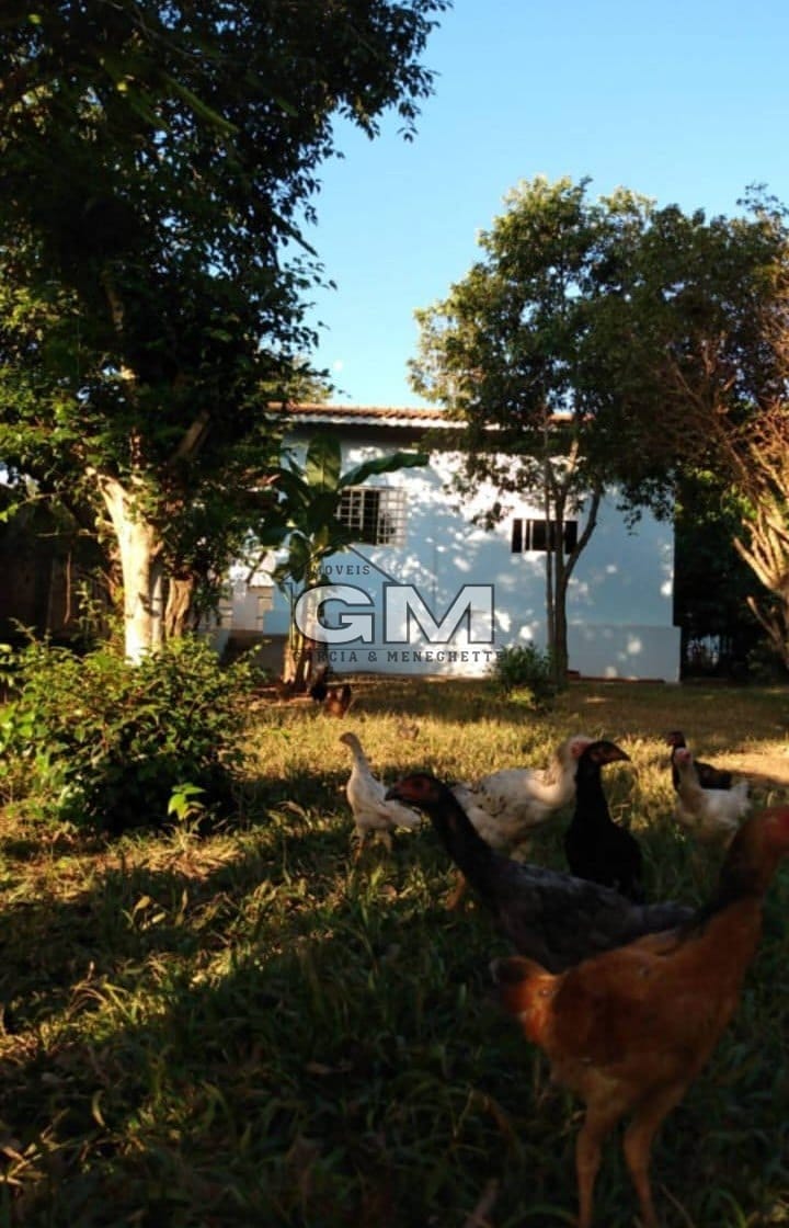 Chácara, 2 quartos, 1200 m² - Foto 2