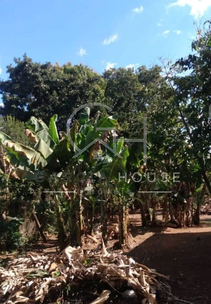 Chácara, 2 quartos, 1200 m² - Foto 12
