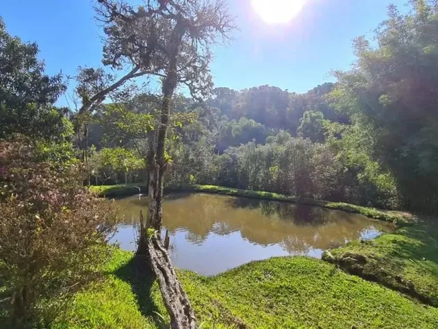 Sítio 4 quartos e 4 banheiros, à venda, no bairro Zona Rural em Quatro Barras