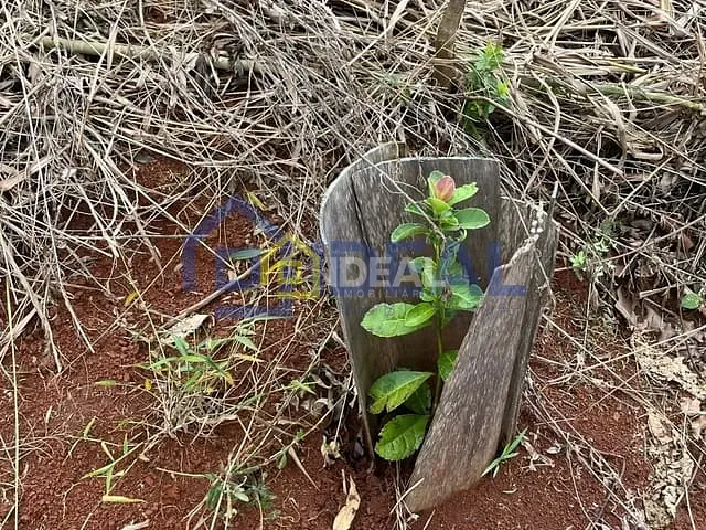 Sítio com 191000m², à venda, no bairro Interior em Arabutã