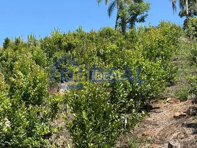 Sítio com 191000m², à venda, no bairro Interior em Arabutã