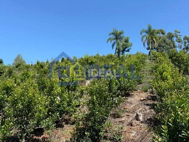 Sítio com 191000m², à venda, no bairro Interior em Arabutã