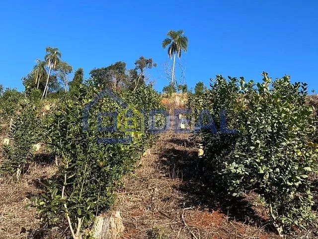 Sítio com 191000m², à venda, no bairro Interior em Arabutã