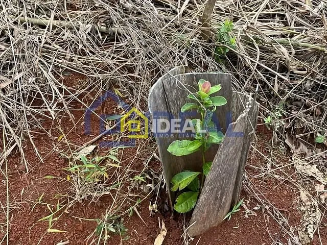 Sítio com 191000m², à venda, no bairro Interior em Arabutã