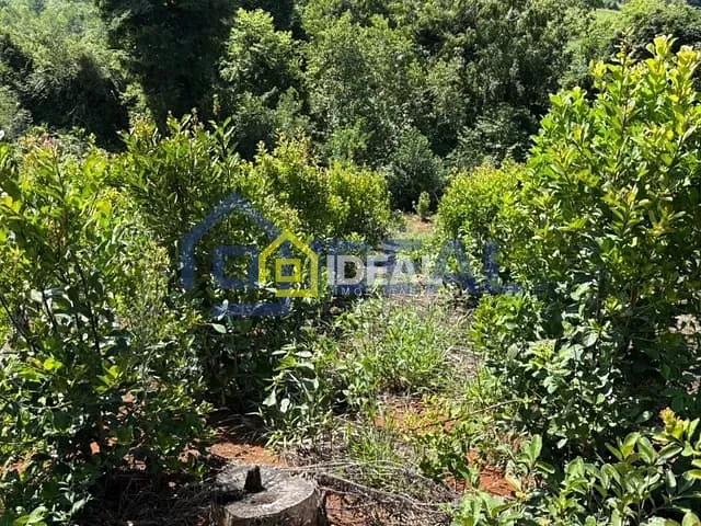 Sítio com 191000m², à venda, no bairro Interior em Arabutã