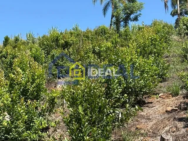 Sítio com 191000m², à venda, no bairro Interior em Arabutã