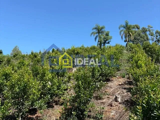 Sítio com 191000m², à venda, no bairro Interior em Arabutã
