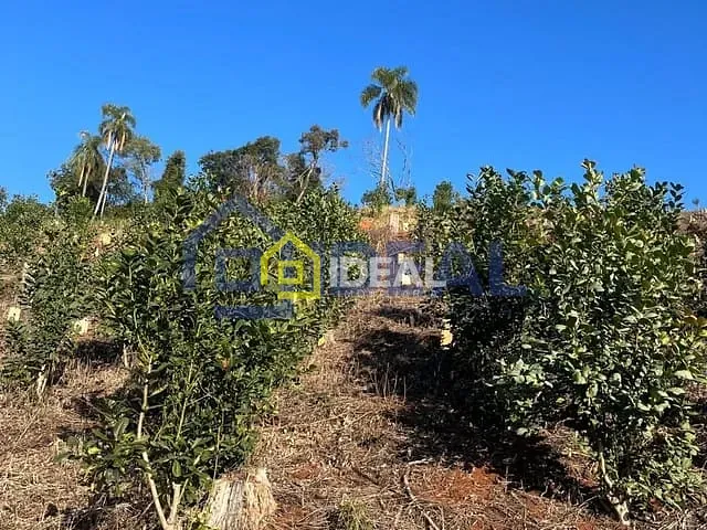 Sítio com 191000m², à venda, no bairro Interior em Arabutã