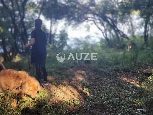 Sítio à venda, no bairro Botiatuva em Campo Largo