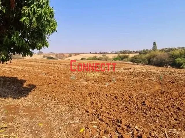 Sítio com 78704m² 1 quarto e 1 banheiro, à venda, no bairro Zona Rural em Brodowski