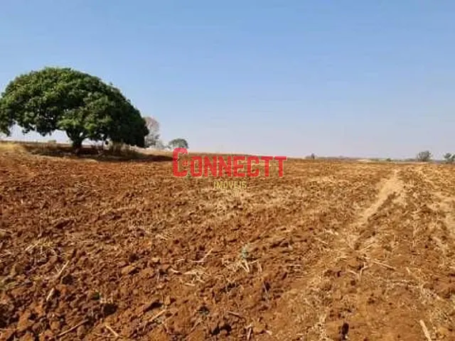 Sítio com 78704m² 1 quarto e 1 banheiro, à venda, no bairro Zona Rural em Brodowski