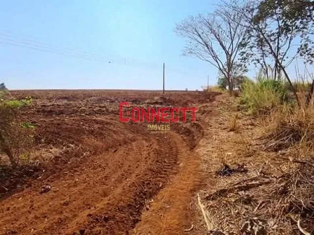 Sítio com 78704m² 1 quarto e 1 banheiro, à venda, no bairro Zona Rural em Brodowski