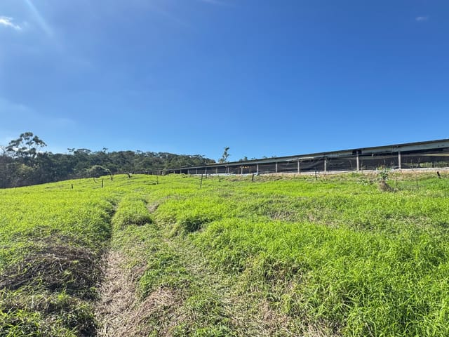 Sítio com 30000m², à venda, no bairro Morro Alto em Tatuí