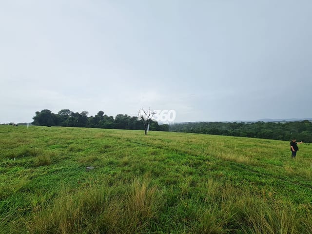 Foto do Sítio - Sítio à venda - 5 Alqueires - Itaberaí | M360 Imóveis
