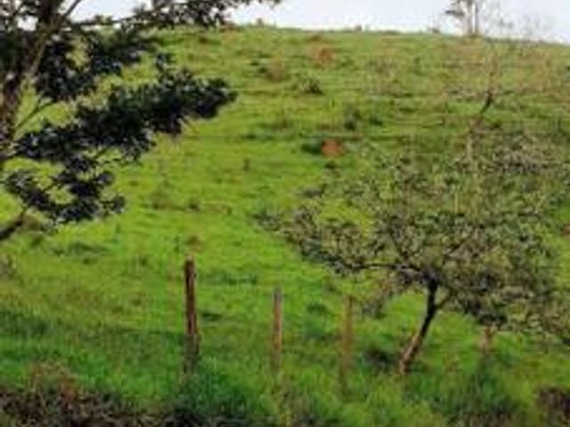 Foto do Sítio - Sítio à venda 1 Quarto, 40000M², Freitas, São José dos Campos - SP | INDEPENDENCE NEGOCIOS IMOBILIARIOS LTDA