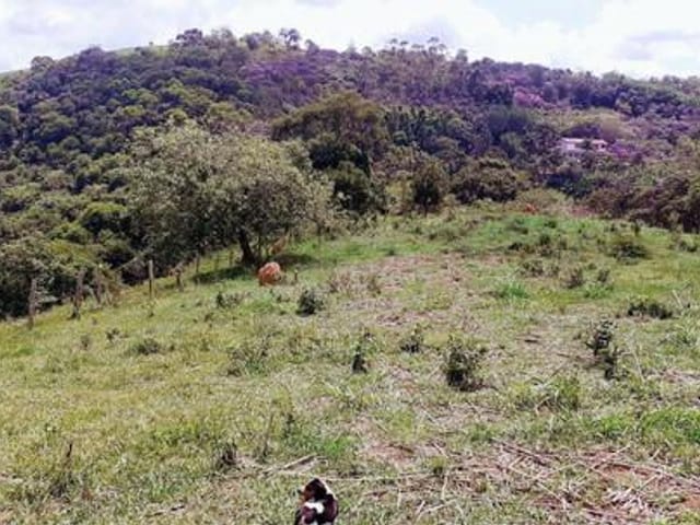 Foto do Sítio - Sítio à venda 1 Quarto, 40000M², Freitas, São José dos Campos - SP | INDEPENDENCE NEGOCIOS IMOBILIARIOS LTDA