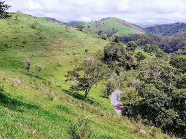 Foto do Sítio - Sítio à venda 1 Quarto, 40000M², Freitas, São José dos Campos - SP | INDEPENDENCE NEGOCIOS IMOBILIARIOS LTDA