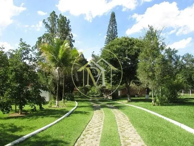 Fazenda, 63 hectares - Foto 15