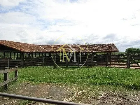 Fazenda, 63 hectares - Foto 18