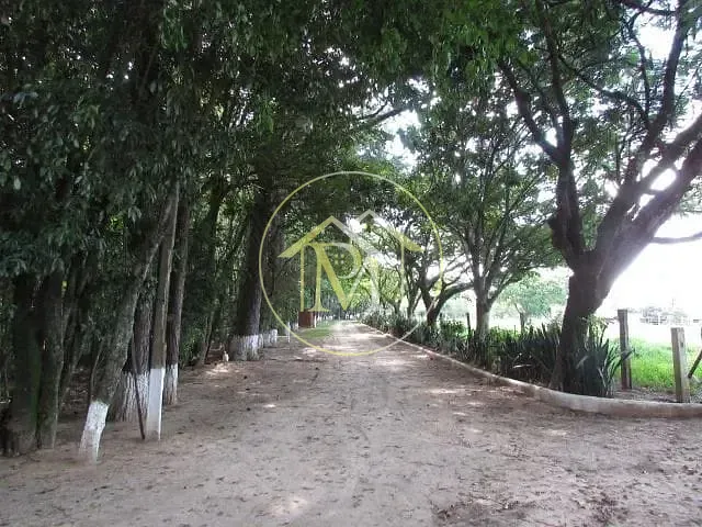 Fazenda, 63 hectares - Foto 17