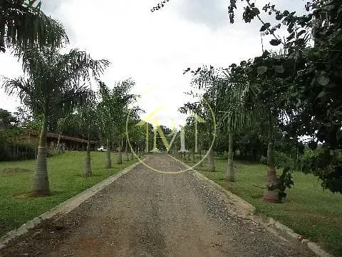 Fazenda, 63 hectares - Foto 14