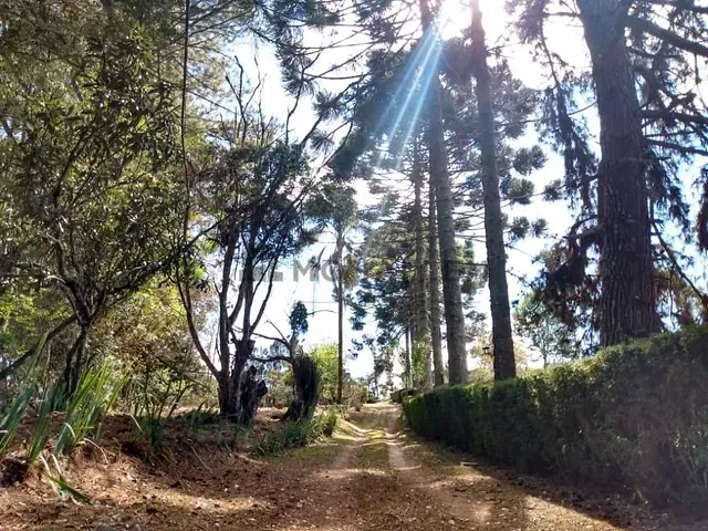 Sítio com 20000m², à venda, no bairro Zona Rural em Maria da Fé