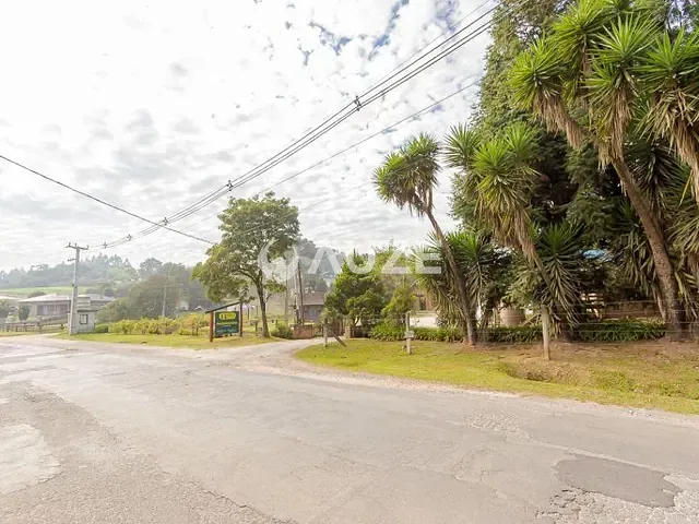 Sítio à venda, no bairro Ribeirão das Onças em Colombo