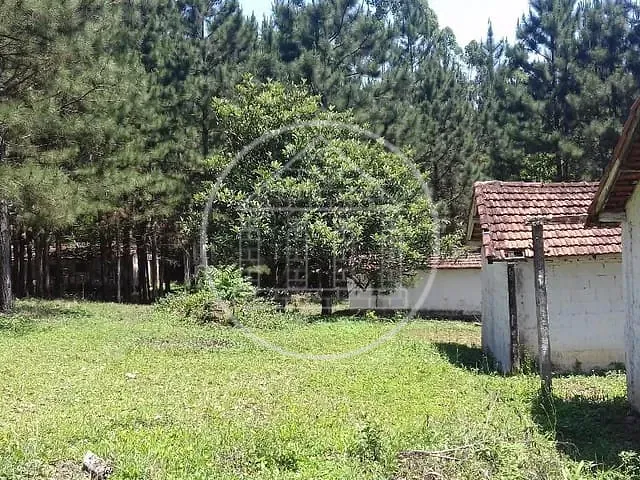 Sítio com 32000m², à venda, no bairro Colônia (Zona Sul) em São Paulo