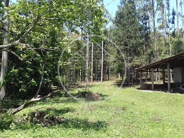 Sítio com 32000m², à venda, no bairro Colônia (Zona Sul) em São Paulo