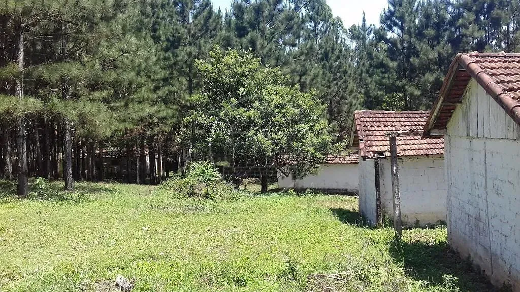 Fazenda, 3 hectares - Foto 1