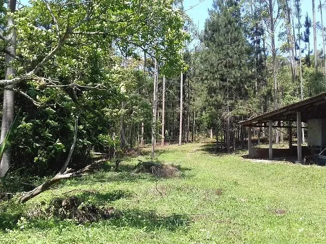 Sítio com 32000m², à venda, no bairro Colônia (Zona Sul) em São Paulo