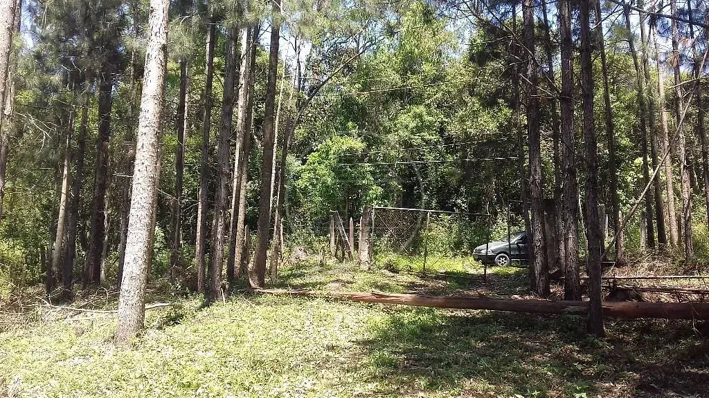 Fazenda, 3 hectares - Foto 10