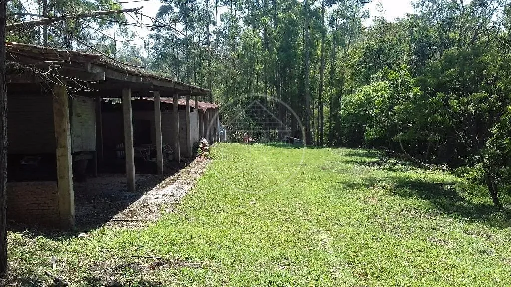 Fazenda, 3 hectares - Foto 2