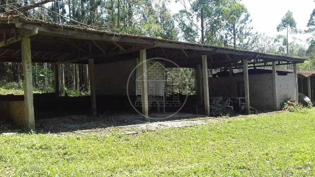 Fazenda, 3 hectares - Foto 3