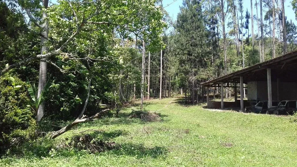 Fazenda, 3 hectares - Foto 4