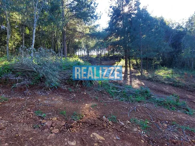 Sítio à venda, no bairro Interior em Marau