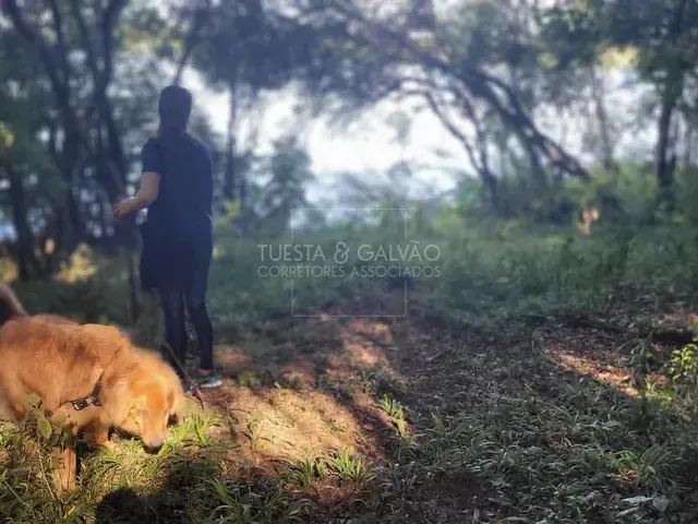 Sítio à venda, no bairro Botiatuva em Campo Largo