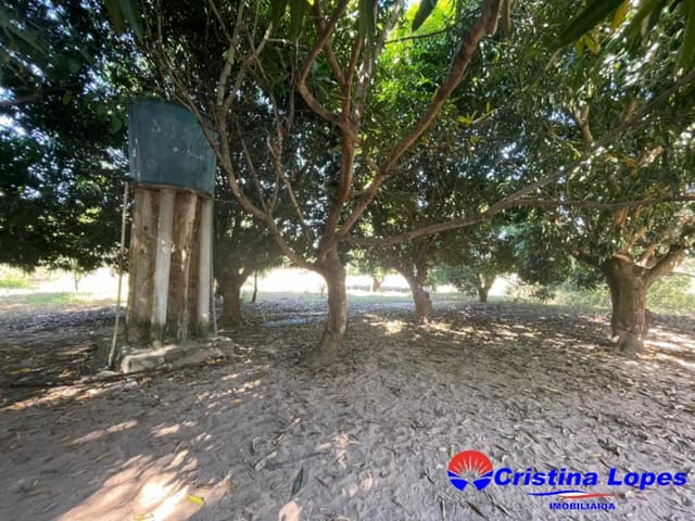 Foto do Sítio - Sítio à venda Jardim Europa, Teresina - Piauí | Cristina Lopes Imobiliária