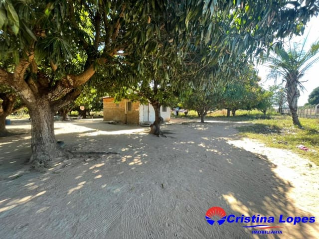 Foto do Sítio - Sítio à venda Jardim Europa, Teresina - Piauí | Cristina Lopes Imobiliária