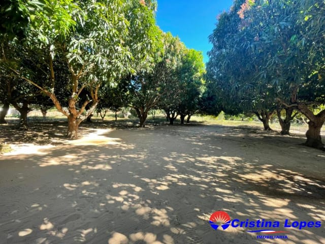 Foto do Sítio - Sítio à venda Jardim Europa, Teresina - Piauí | Cristina Lopes Imobiliária