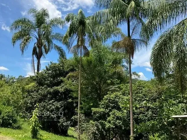 Sítio com 108900m² 5 quartos e 2 banheiros, à venda, no bairro Roncador em São Francisco Xavier