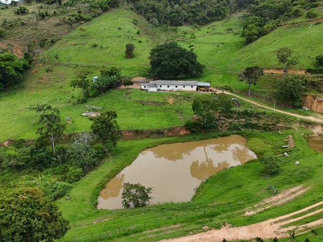 Sítio à venda, no bairro Areal em Areal