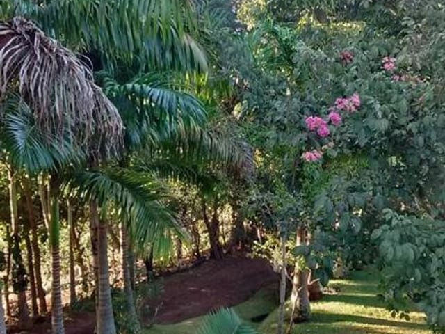Foto do Sítio - Sítio com 3 dormitórios à venda, 44000 m² por R$ 1.300.000,00 - Zona Rural - Monteiro Lobato/SP | INDEPENDENCE NEGOCIOS IMOBILIARIOS LTDA
