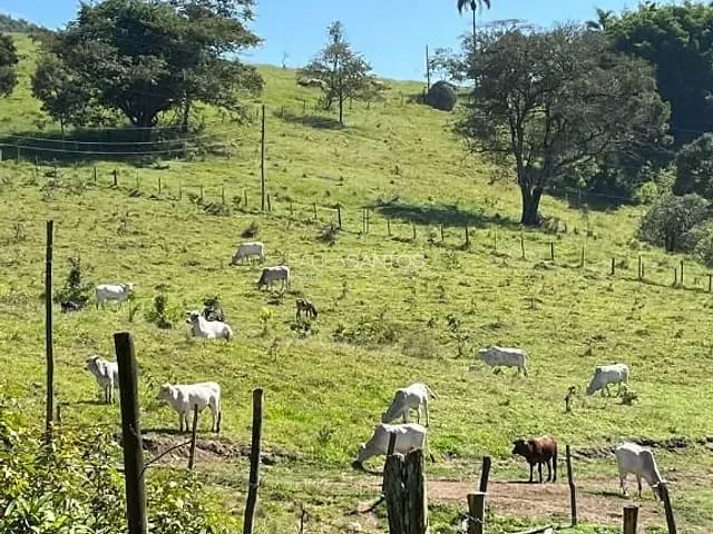 Sítio com 114m², à venda, no bairro Apotribu em Itu