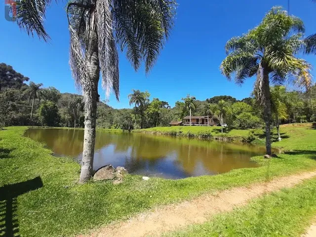 Sítio 3 quartos e 2 banheiros, à venda ou para alugar, no bairro Bateias em Campo Largo