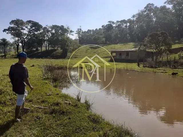 Chácara, 3 quartos, 2 hectares - Foto 12